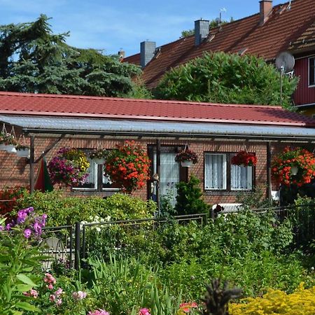 Bungalow Weidling Hasselfelde Extérieur photo