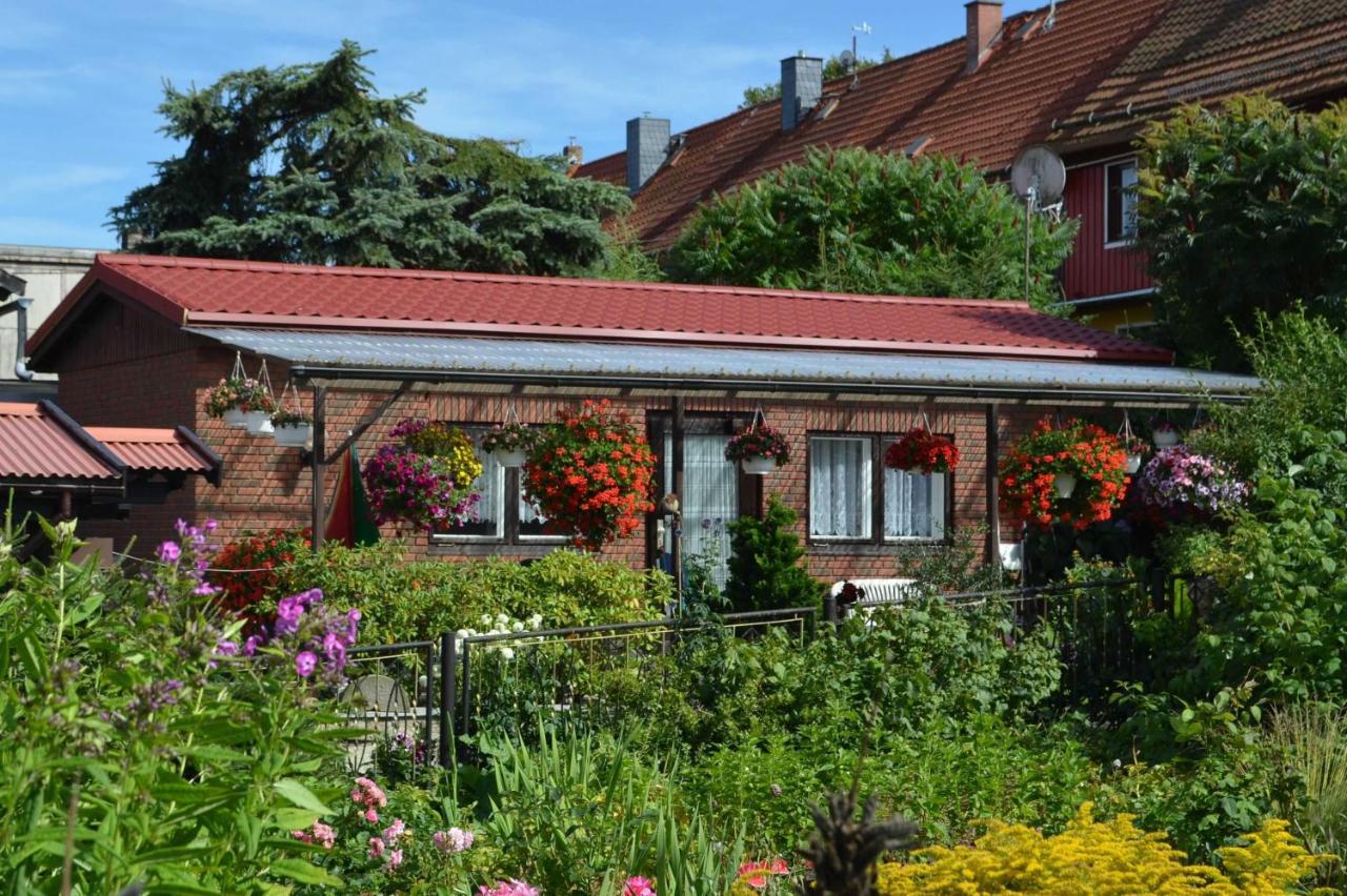 Bungalow Weidling Hasselfelde Extérieur photo